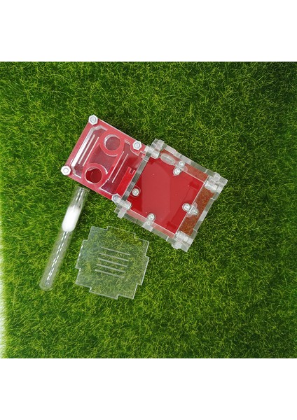 Renk-05 Tarzı Mini Yeni Kraliçe Karınca Yuvası Karınca Atölyesi Akrilik Çiftlik Küçük Uçak Yuvası Karınca Aksesuarları (Yurt Dışından)
