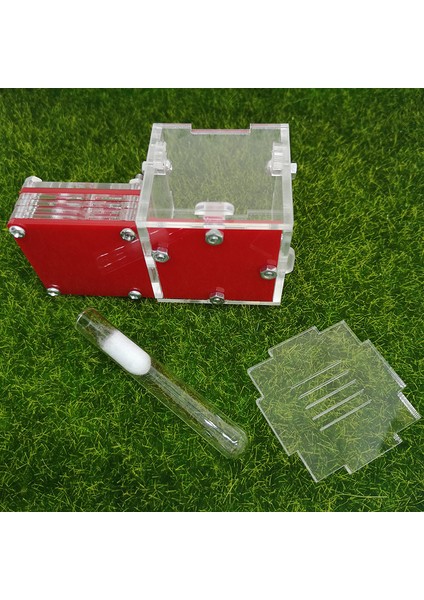 Renk-05 Tarzı Mini Yeni Kraliçe Karınca Yuvası Karınca Atölyesi Akrilik Çiftlik Küçük Uçak Yuvası Karınca Aksesuarları (Yurt Dışından)