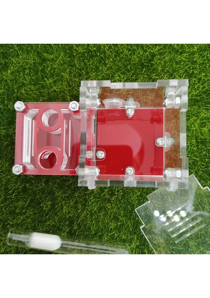 Renk-05 Tarzı Mini Yeni Kraliçe Karınca Yuvası Karınca Atölyesi Akrilik Çiftlik Küçük Uçak Yuvası Karınca Aksesuarları (Yurt Dışından)