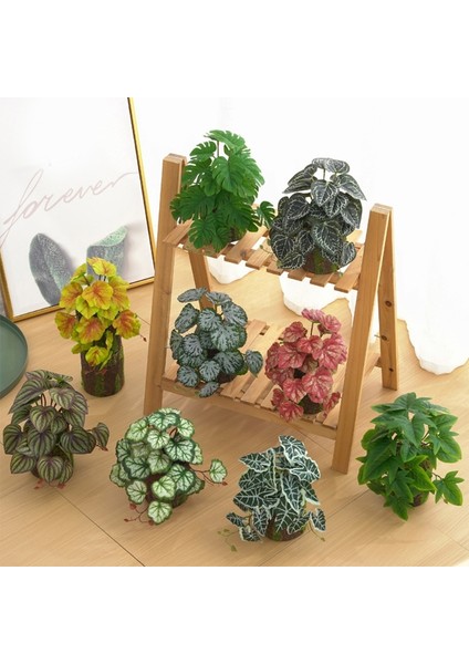 No.7 Tarzı Yapay Sürüngen Terraryum Bitkileri Gerçekçi Tropikal Yapraklar Tank Bitkisi Kertenkeleler Kaplumbağalar Ağaç Kurbağa Türlerine Uygun (Yurt Dışından) fiyatları