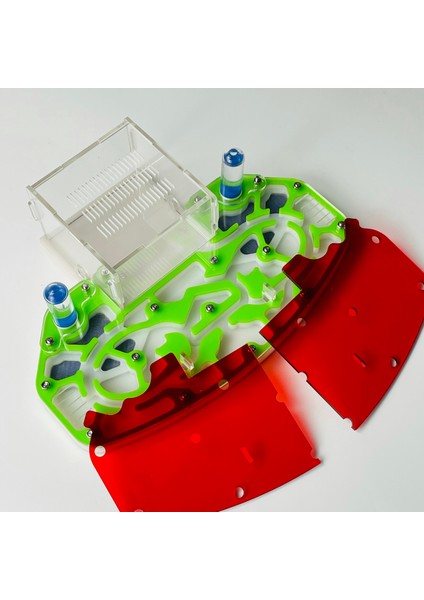 Yeşil Stil 24X18X6.5CM Büyük Boy 24*18CM Akrilik Karınca Yuvası Dayanıklı Genişleme Karınca Çiftliği Eğitici Set Karınca Habitat Formikaryum (Yurt Dışından)