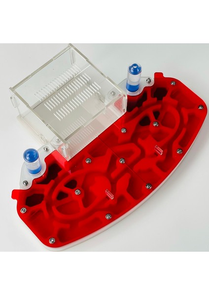 Yeşil Stil 24X18X6.5CM Büyük Boy 24*18CM Akrilik Karınca Yuvası Dayanıklı Genişleme Karınca Çiftliği Eğitici Set Karınca Habitat Formikaryum (Yurt Dışından)