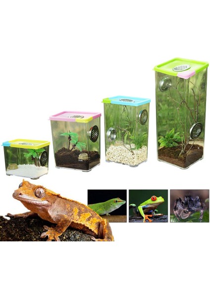 10.5X8X17CM Tarzı Terraryum Tankı Şeffaf Sürüngen Üretim Kutusu Akrilik Sürüngen Terraryumu Örümcek Akrep Montajlı Ekolojik Kutu (Yurt Dışından)