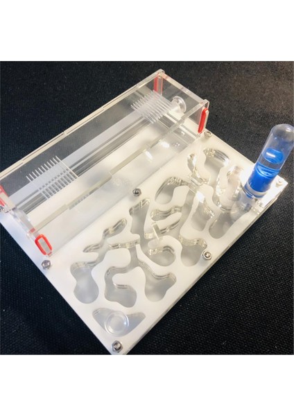 Beyaz Stil Test Tüp Nemli Büyük Alan Karınca Yuvası, Karınca Çiftliği Akrilik, Böcek Karıncalar Villa Evi Karıncalar Ekolojik Atölye (Yurt Dışından)