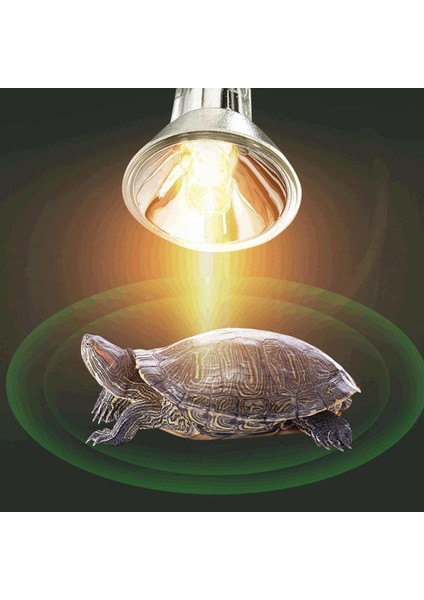 50W Tarzı Sürüngen Lambası Uva+Uvb 3.0 Evcil Hayvan Isı Lambası Kaplumbağa Güneşlenme Uv Işığı Ampfibiler Kertenkeleler Sıcaklık Kontrol Cihazı (Yurt Dışından) fiyatları