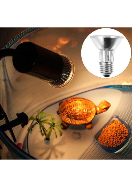 50W Tarzı Sürüngen Lambası Uva+Uvb 3.0 Evcil Hayvan Isı Lambası Kaplumbağa Güneşlenme Uv Işığı Ampfibiler Kertenkeleler Sıcaklık Kontrol Cihazı (Yurt Dışından) modelleri