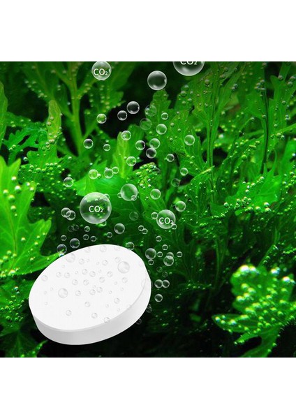 60 Adet Stil Akvaryum Co2 Efervesan Tablet Akvaryum Bitkileri Karbon Dioksit Dilimleyici Üretici Balık Tankı Su Otu Tedarik (Yurt Dışından) fırsatları