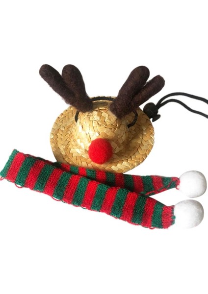 Yeşil Stil L Beden Küçük Hayvanlar Için Kış Sıcak Noel Kostümü Tavşanlar Şapka ve Atkı Hamster Kirpi Kertenkele Ejderha Kılığına Girme (Yurt Dışından)