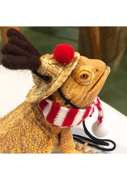 Yeşil Stil L Beden Küçük Hayvanlar Için Kış Sıcak Noel Kostümü Tavşanlar Şapka ve Atkı Hamster Kirpi Kertenkele Ejderha Kılığına Girme (Yurt Dışından) indirimleri