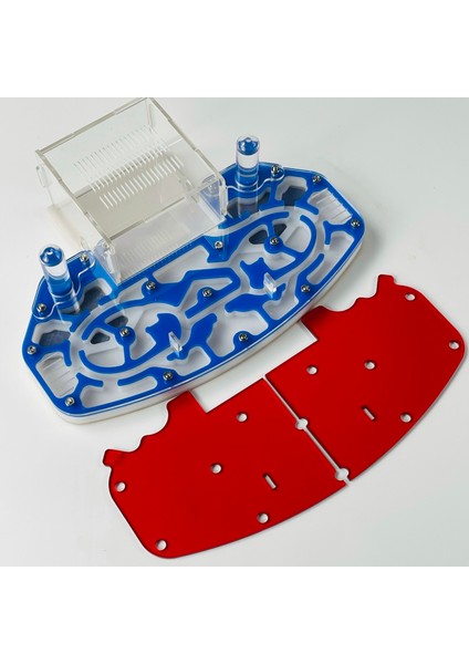 Mavi Stil 24X18X6.5CM Büyük Boy 24*18CM Akrilik Karınca Yuvası Dayanıklı Genişleme Karınca Çiftliği Eğitici Set Karınca Habitat Formikaryum (Yurt Dışından)