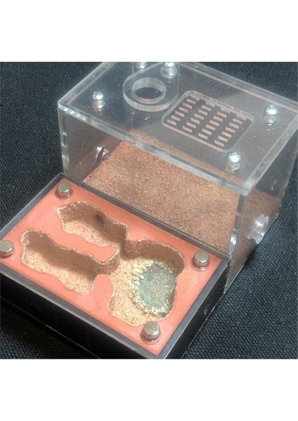 B Tarzı 11CMX8.5CMX7CM Alçı Nemlendirici Hafif Tonlu Karınca Yuvası, Karınca Yuvası Peyzaj Karınca Evi Böcek Kale Atölyesi Evcil Karınca Yuvası (Yurt Dışından)