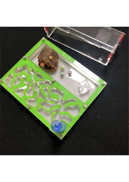 Beyaz Stil Test Tüp Nemli Büyük Alan Karınca Yuvası, Karınca Çiftliği Akrilik, Böcek Karıncalar Villa Evi Karıncalar Ekolojik Atölye (Yurt Dışından) fiyatları