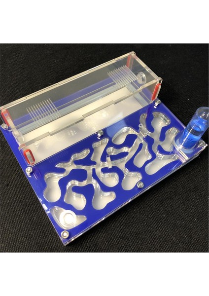 Beyaz Stil Test Tüp Nemli Büyük Alan Karınca Yuvası, Karınca Çiftliği Akrilik, Böcek Karıncalar Villa Evi Karıncalar Ekolojik Atölye (Yurt Dışından) indirimleri