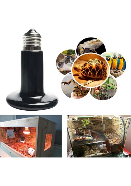 100W Tarzı Küçük Sürüngenler Için Seramik Isıtma Lambası 25W 50W 75W 100W 150W 200W Ir Isı Yayıcı Ampul Kaplumbağa Yılan Kertenkele Isıtıcı Lamba (Yurt Dışından)