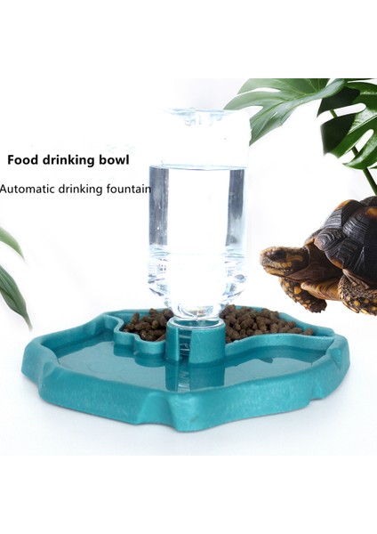 Açık Yeşil Tarzı Sürüngen ve Amfibi Reptil Evcil Hayvan Malzemeleri Otomatik Su Kabı Kaplumbağa Saksısı Terrarium (Yurt Dışından) fiyatları