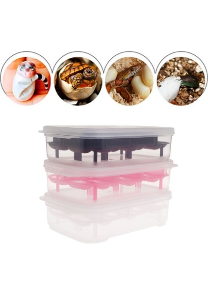 Siyah Stil Sürüngen Yumurta Inkübatör Yuvaları Profesyonel Şeffaf Kapaklı Kertenkele Yılan Sakallı Ejderha Yumurtaları Yumurtlama Kutusu Kasa Tepsi Plastik (Yurt Dışından)