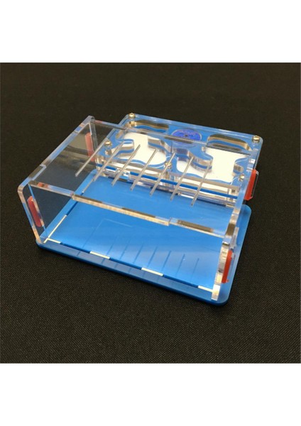 Pembe Stil 10,6X12,6X5CM Karınca-Üzüm Serisi M Boyut Uçak Tasarımı ile Karınca Yuvası, Karınca Çiftliği Akrilik, Böcek Karınca Villa Evcil Mania Için Ev Karıncaları (Yurt Dışından) indirimleri