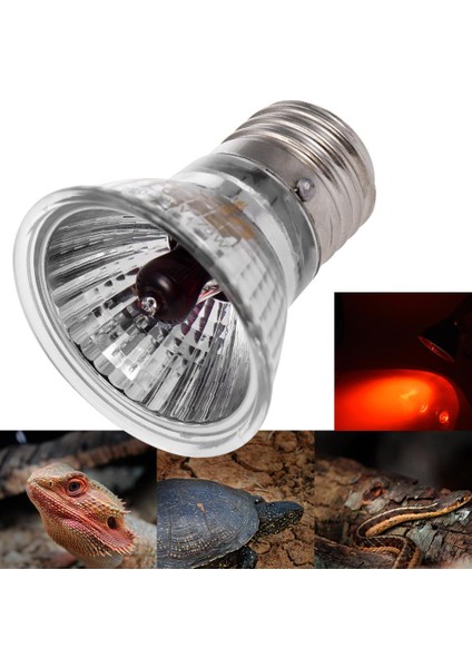 Koyu Gri Tarzı E27 Evcil Hayvan Isıtma Lambası Yetiştirme Yalıtım Lambası Isı Işık Ampul Seramik Isıtma Lambası Işıksız Isıtma Lambası (Yurt Dışından) indirimleri