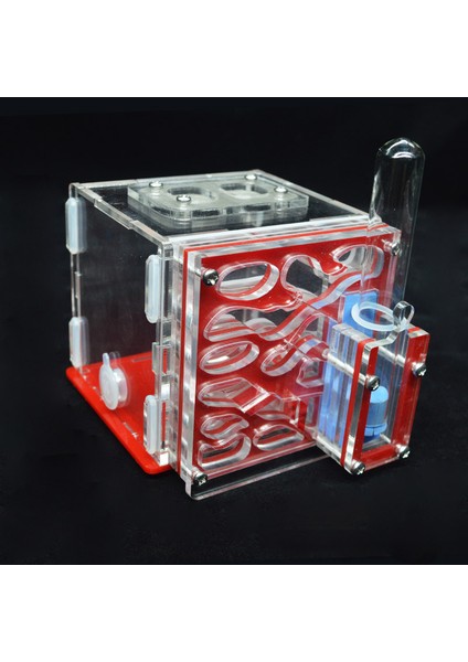 Kırmızı Stil 8X8X10CM Kendi Yapımı Akrilik Karınca Çiftliği Evcil Karınca Yuvası Atölyesi Karınca Evi ile Nemlendirme Su Kulesi Villa Kale Için Karınca 5 Katlı 8*8*10CM (Yurt Dışından)
