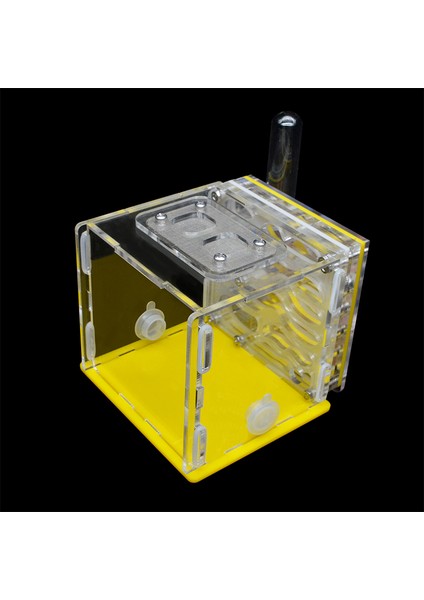 Kırmızı Stil 8X8X10CM Kendi Yapımı Akrilik Karınca Çiftliği Evcil Karınca Yuvası Atölyesi Karınca Evi ile Nemlendirme Su Kulesi Villa Kale Için Karınca 5 Katlı 8*8*10CM (Yurt Dışından)