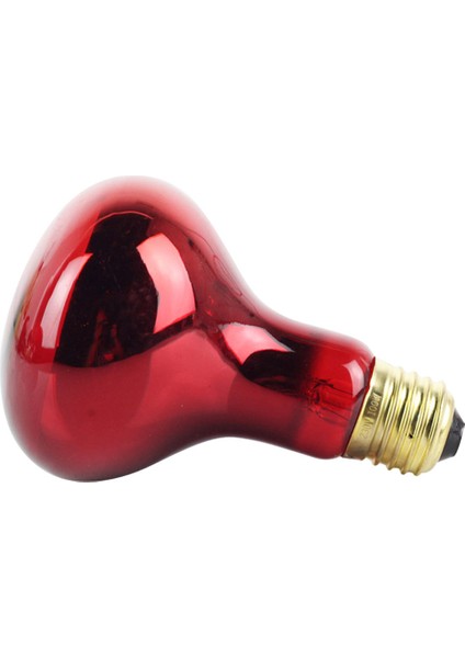 Koyu Gri Tarzı Sıcak 25W 50W 75W 100W E27 Kedi Isıtma Lambası Siyah Kızılötesi Seramik Yayıcı Isı Işık Lambası Pet Yavruluk Sürüngen Lambası (Yurt Dışından)