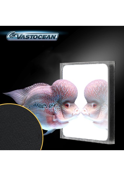 Siyah Stil Vastocean Çok Fonksiyonlu Çiçek Kafa Manyetik Ayna Balık Eğitimi (Yurt Dışından) fırsatları