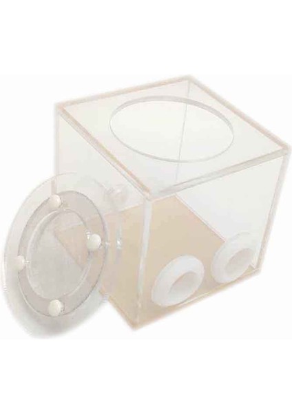 5X3.3X5CM Stili Çift Tüplü Karınca Çiftliği Plastik Şeffaf Sürüngen Terraryumu Genç Koloniler Için Karınca Malzemeleri (Yurt Dışından) fiyatları