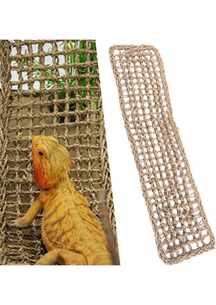 Dikdörtgen Sürüngen Kertenkele Yatağı Pogona Deniz Yosunu Hamak Salıncak Asma Ağ Anole Cüce Kertenkele Iguana Kara Akrep Için - Ürün Başlığı (Yurt Dışından)