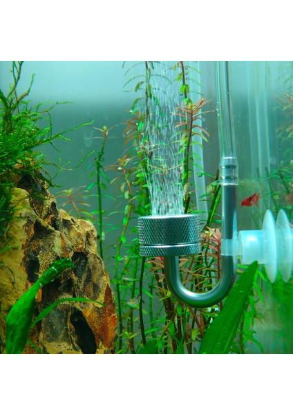 Gümüş Tarzı Akvaryum Için Alüminyum Alaşım Co2 Diffüzörü Bitki Tankı Diffüzörü Co2 Jeneratör Regülatör Sistemi Akvaryum Aksesuarları Malzemeleri (Yurt Dışından) fiyatları