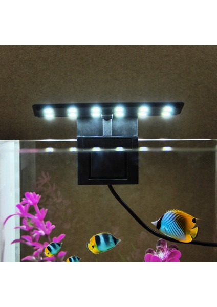 Siyah Stil 2021 AC220V 6W 12 LED Akvaryum Lambası Balık Kavanoz Lambası Beyaz Işık Taşınabilir Akvaryum LED Aydınlatma (Yurt Dışından) fırsatları