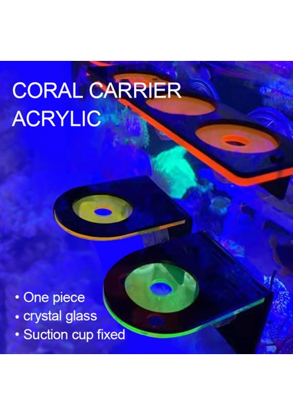 Koyu Yeşil Tarzı Balık Tankı Floresan Mercan Parça Raf Sps Akrilik Deniz Akvaryumu Resif Emme Kupası Braketi Montaj Aracı Su Bitkisi Standı (Yurt Dışından) fiyatları