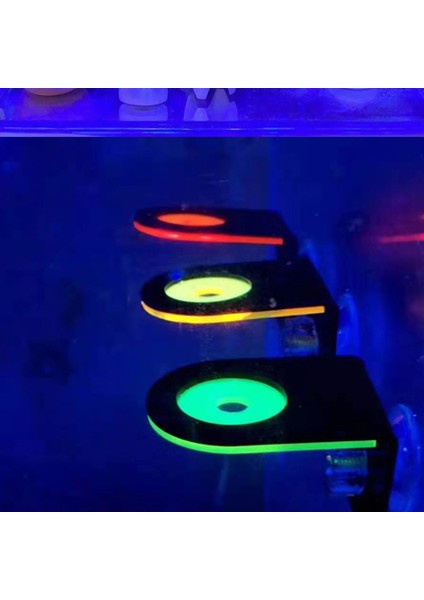 Koyu Yeşil Tarzı Balık Tankı Floresan Mercan Parça Raf Sps Akrilik Deniz Akvaryumu Resif Emme Kupası Braketi Montaj Aracı Su Bitkisi Standı (Yurt Dışından) modelleri