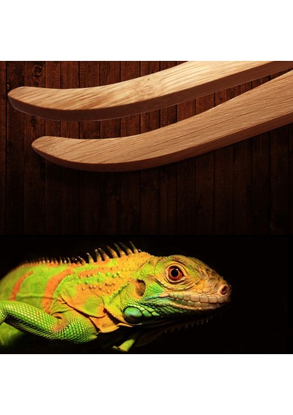 Açılı Sürüngen Terraryumu Tutucu Kavrayıcılar Ekolojik Dostu Bambu Temizlik Araçları (Yurt Dışından) fırsatları