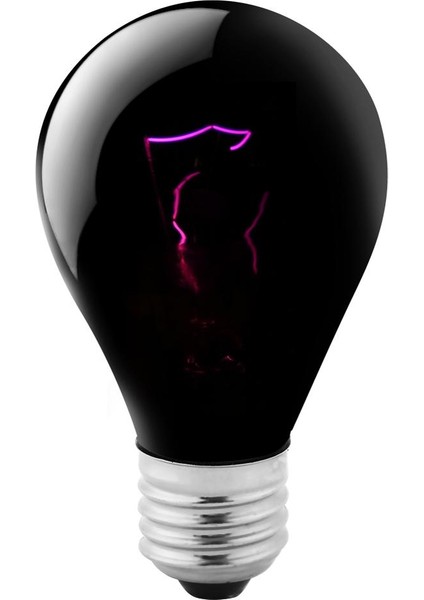 100W Tarzı Reptil Amfibi Yavru Lambası Için Siyah Gece Isıtma Ampulu Mini Kızılötesi Seramik Isıtıcı Ampul Isı Lambası (Yurt Dışından)