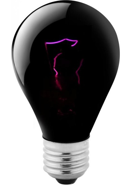 100W Tarzı Reptil Amfibi Yavru Lambası Için Siyah Gece Isıtma Ampulu Mini Kızılötesi Seramik Isıtıcı Ampul Isı Lambası (Yurt Dışından)