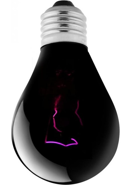 100W Tarzı Reptil Amfibi Yavru Lambası Için Siyah Gece Isıtma Ampulu Mini Kızılötesi Seramik Isıtıcı Ampul Isı Lambası (Yurt Dışından)