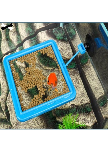 No.4 Tarzı Resim Olarak Yeni Akvaryum Yüzük Balık Tankı Istasyonu Yüzen Yem Tepsisi Kare Daire Aksesuarı Su Bitkisi Batma Emme Kupası 2 (Yurt Dışından) modelleri