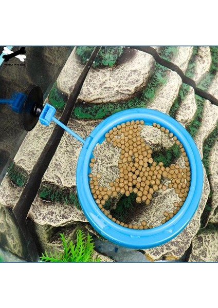 No.4 Tarzı Resim Olarak Yeni Akvaryum Yüzük Balık Tankı Istasyonu Yüzen Yem Tepsisi Kare Daire Aksesuarı Su Bitkisi Batma Emme Kupası 2 (Yurt Dışından) fırsatları