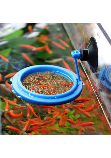 No.4 Tarzı Resim Olarak Yeni Akvaryum Yüzük Balık Tankı Istasyonu Yüzen Yem Tepsisi Kare Daire Aksesuarı Su Bitkisi Batma Emme Kupası 2 (Yurt Dışından) indirimleri