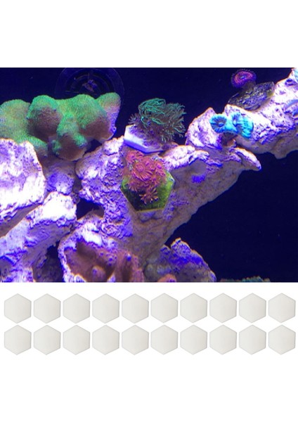 50LB Seramik Mercan Fragman Diskleri Mercan Frag Takılı Hexagon Mercan Takılı Mercan Frag Rafı Plakaları Braketler Akvaryum Aksesuarları (Yurt Dışından)