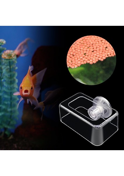 Beyaz Stil Akvaryum Temiz Balık Yemlik Sıkıştırma Halkası Şeffaf Akrilik Balık Tankı Istasyonu Yüzen Yemlik Halka (Yurt Dışından) fiyatları