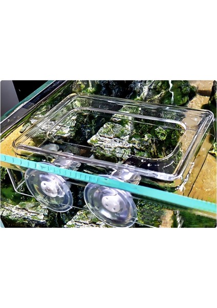 Beyaz Stil Akvaryum Temiz Balık Yemlik Sıkıştırma Halkası Şeffaf Akrilik Balık Tankı Istasyonu Yüzen Yemlik Halka (Yurt Dışından) modelleri