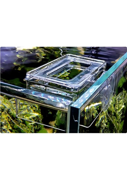 Beyaz Stil Akvaryum Temiz Balık Yemlik Sıkıştırma Halkası Şeffaf Akrilik Balık Tankı Istasyonu Yüzen Yemlik Halka (Yurt Dışından) fırsatları