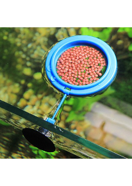 Beyaz Stil Tek Boyut Yüzen Her Yere Karşı Hedeflenmiş Akvaryum Kare Daire Yemleme Halkası Balık Tankı Istasyonu Balık Yemi Halkası (Yurt Dışından) fırsatları