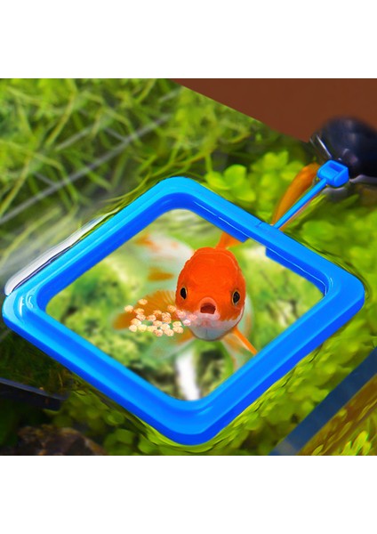 Siyah Yuvarlak Stil Akvaryum Balık Yemlik Yüzen Balık Tankı Besleme Istasyonu Yuvarlak Kare Balık Yem Tepsisi Emme Kupası ile Balık Tankı Aksesuarları (Yurt Dışından) fiyatları