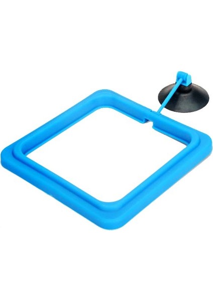 Siyah Yuvarlak Stil Akvaryum Balık Yemlik Yüzen Balık Tankı Besleme Istasyonu Yuvarlak Kare Balık Yem Tepsisi Emme Kupası ile Balık Tankı Aksesuarları (Yurt Dışından) fırsatları