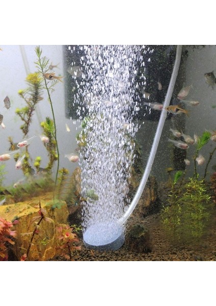 Gri Stil 8cm 40MM Balık Tankı Hava Kabarcığı Taşı Aeratör Havuz Pompası Hava Taşı Kabarcık Diski Akvaryum Pompası Hidroponik Oksijen Tabakası Hava Pompaları (Yurt Dışından) fırsatları