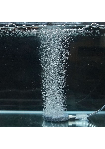 Gri Stil 8cm 40MM Balık Tankı Hava Kabarcığı Taşı Aeratör Havuz Pompası Hava Taşı Kabarcık Diski Akvaryum Pompası Hidroponik Oksijen Tabakası Hava Pompaları (Yurt Dışından) indirimleri