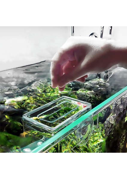 S Tarzı Akvaryum Akrilik Kare Yüzen Halka Emme Bardağı Beta Balığı Yem Bardağı Karides Bardağı Bitki Tankı Akvaryum - (Yurt Dışından) indirimleri