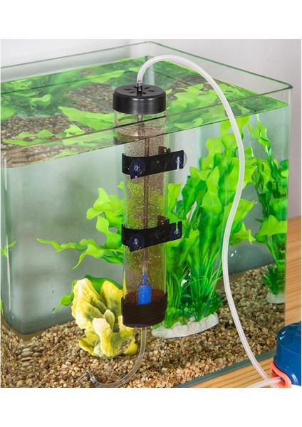 Akvaryum Artemia Yumurtası Kuluçka Kiti Dıy Yumurtlama Ekipmanı Su Ürünleri Tankı Karidesi Yumurtası Incubator Aracı Hatchery Kiti (Yurt Dışından)